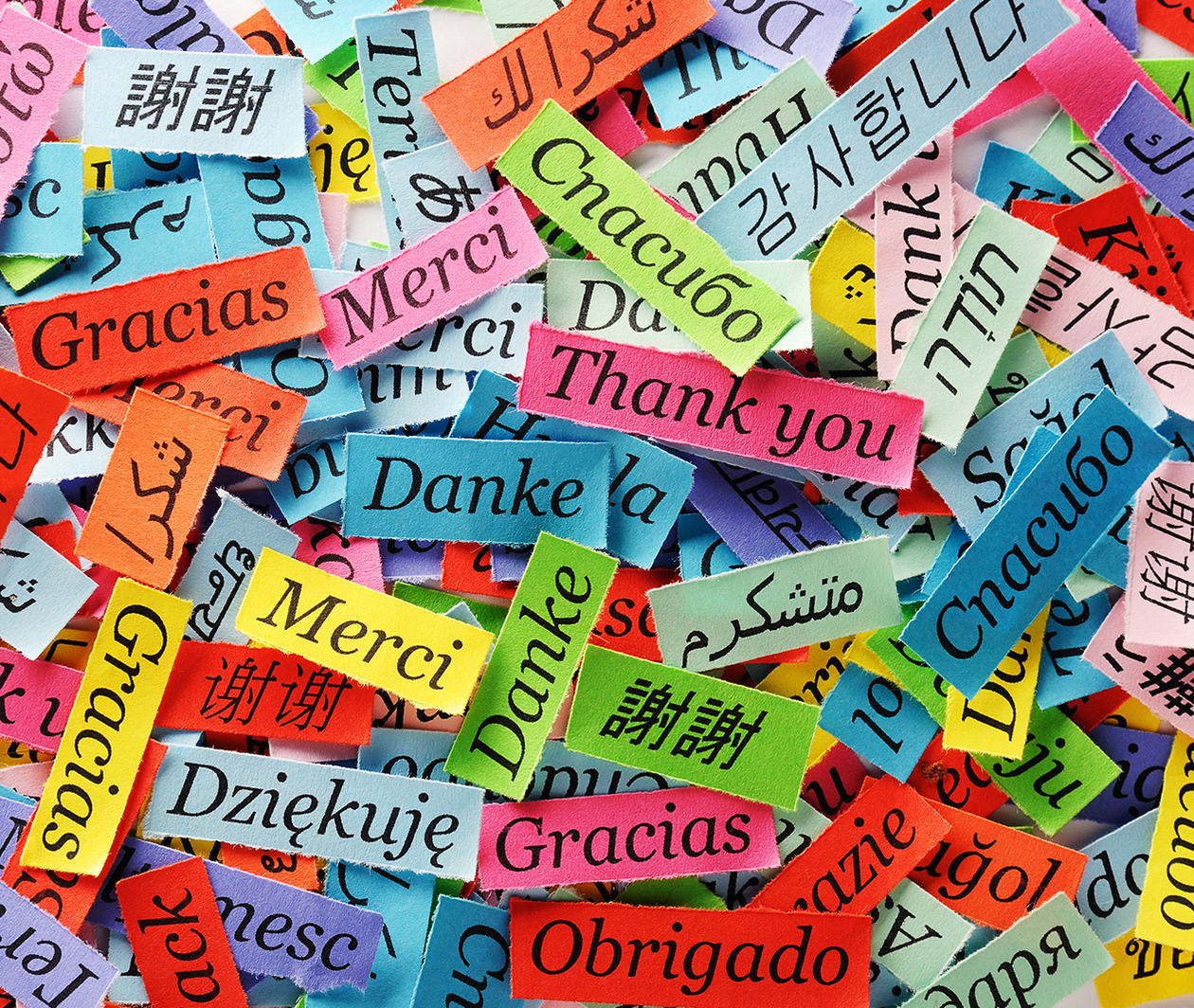 'Thank you' written in multiple languages on coloured pieces of paper