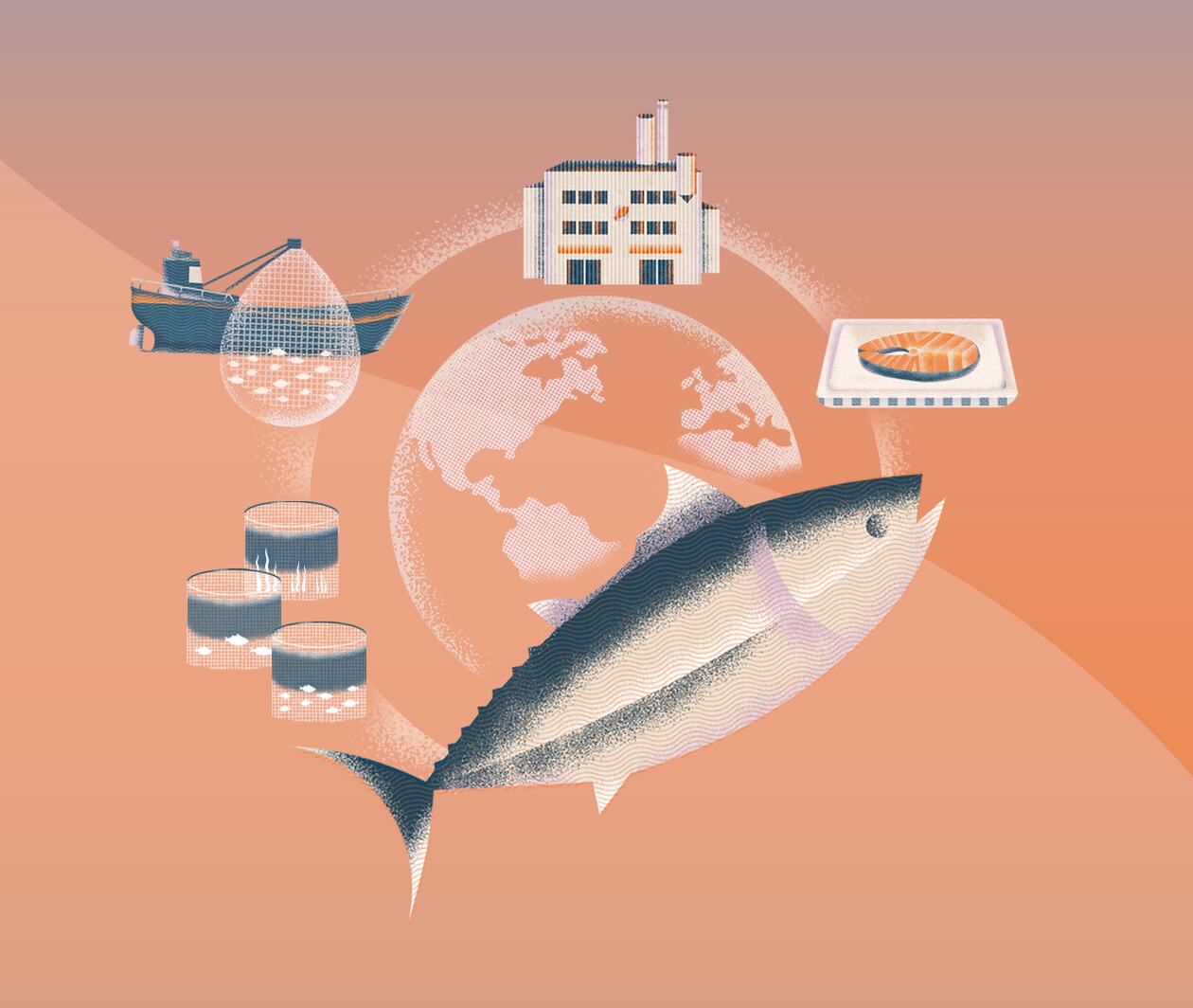 Process of fishing seafood sustainably