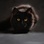 Alice -
