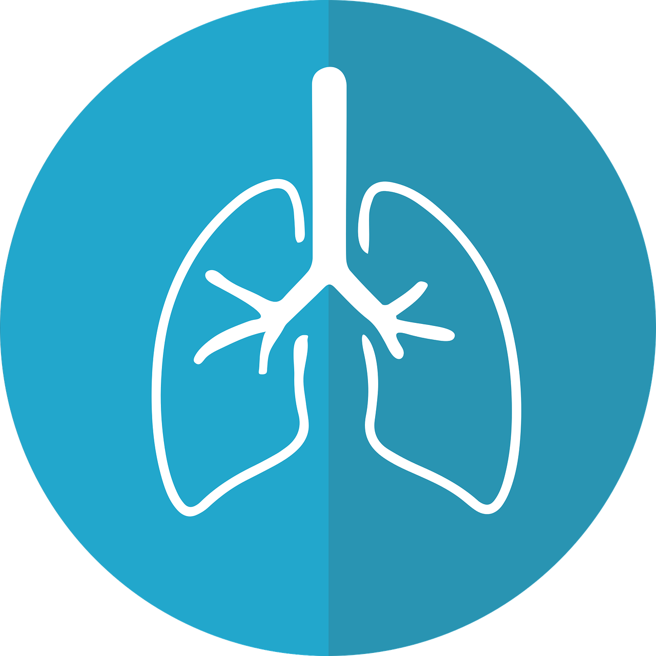 Cartoon of lungs outline on a blue background