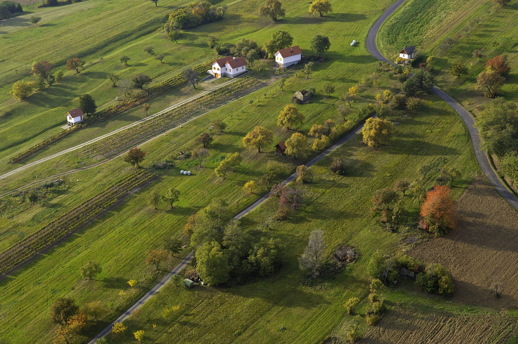 An aerial view of the German countryside, with fields, trees, fields hedges, some house scattered about and a road.