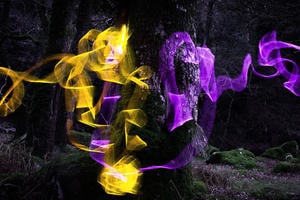 Light weaving between trees.