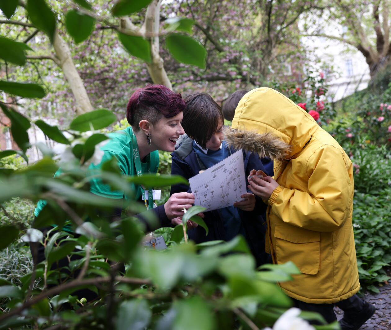 Young children learning from a teacher in a natural setting