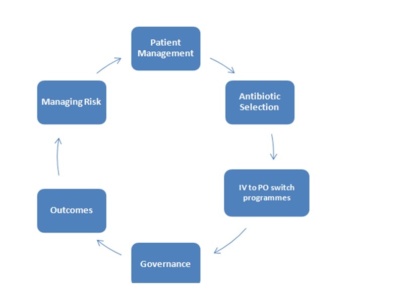 Circular map detailing the components of governance.