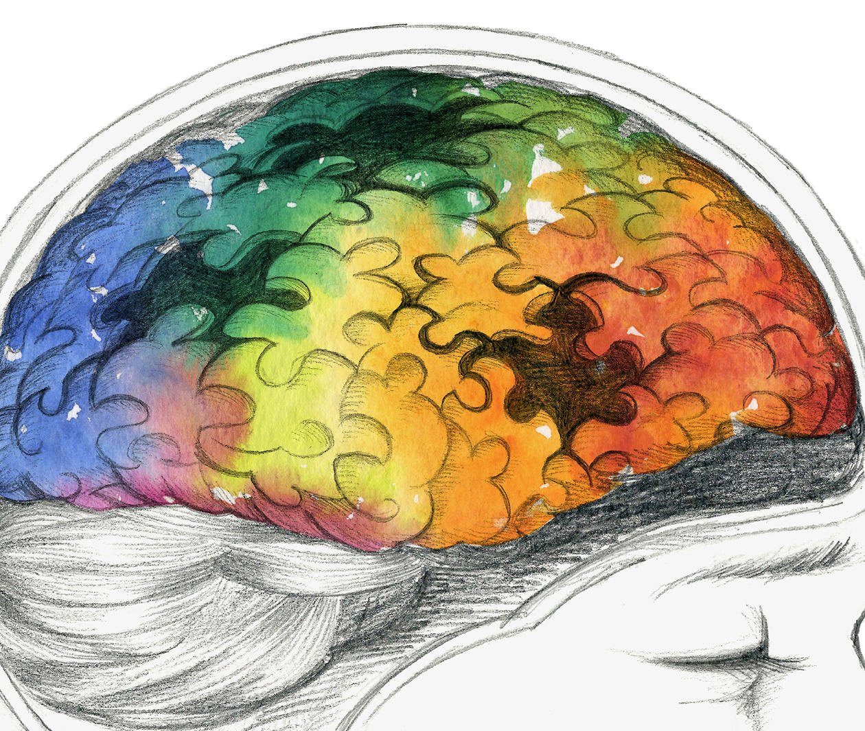 Artistic image of a brain cross-section as a puzzle