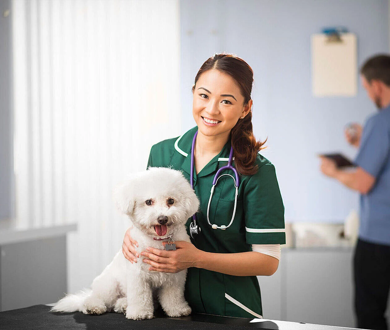 A woman in scrubs examining a dog with a stethoscope