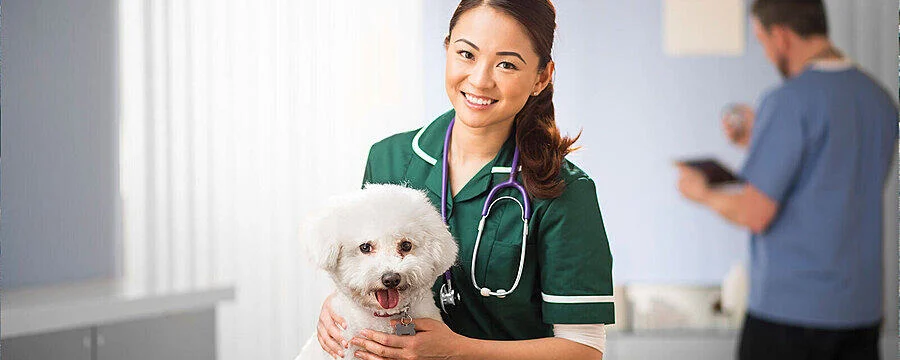 Introduction to Studying Veterinary Medicine - Course - FutureLearn