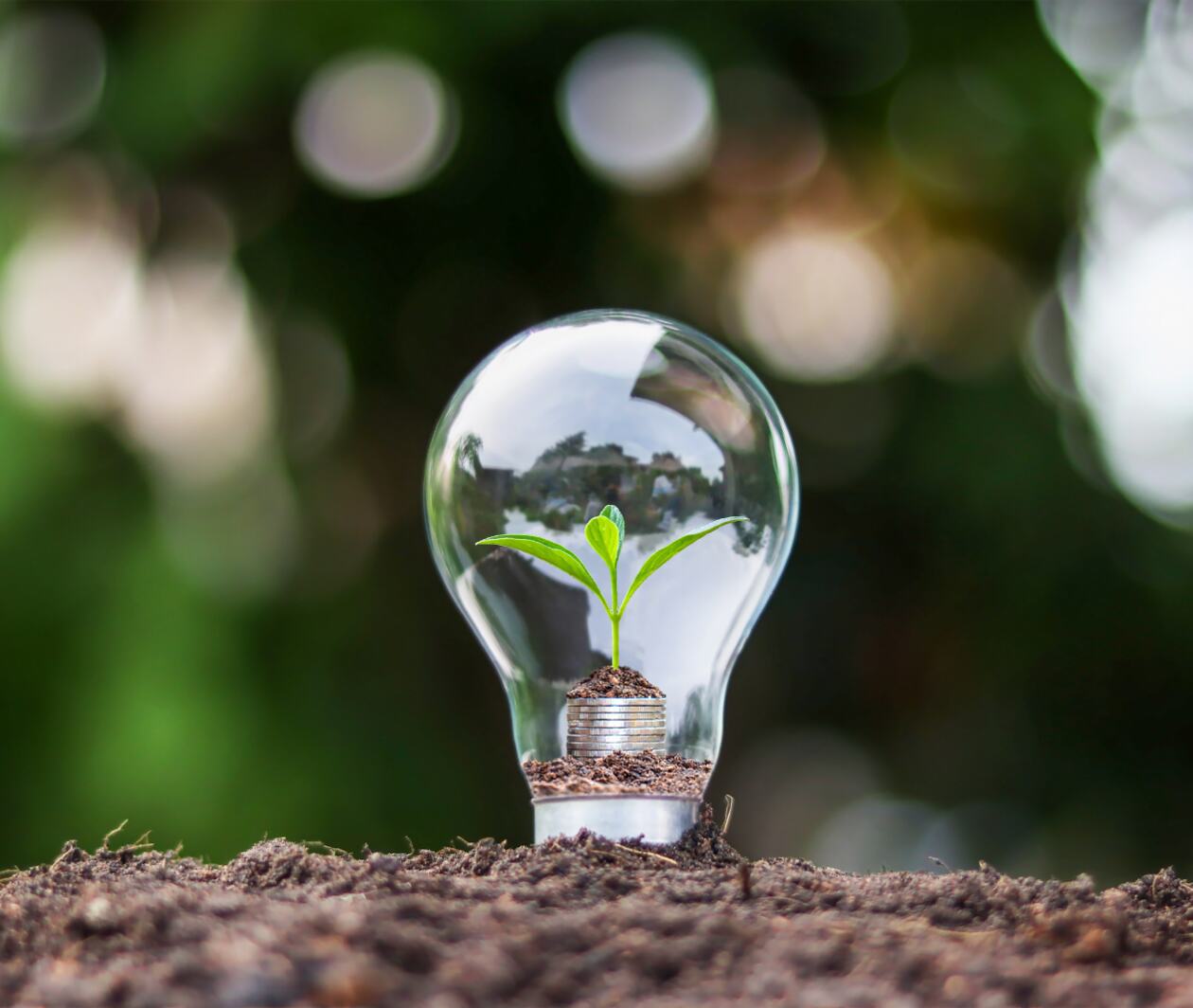 A light bulb with a plant inside