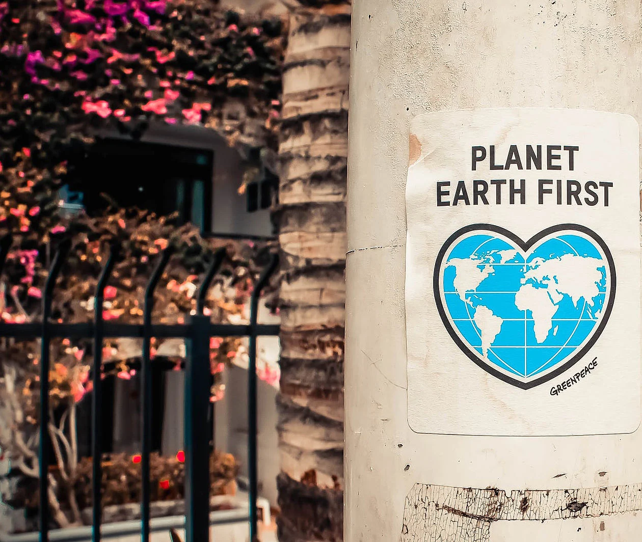 A poster titled 'Planet Earth First' attached to a power pole 