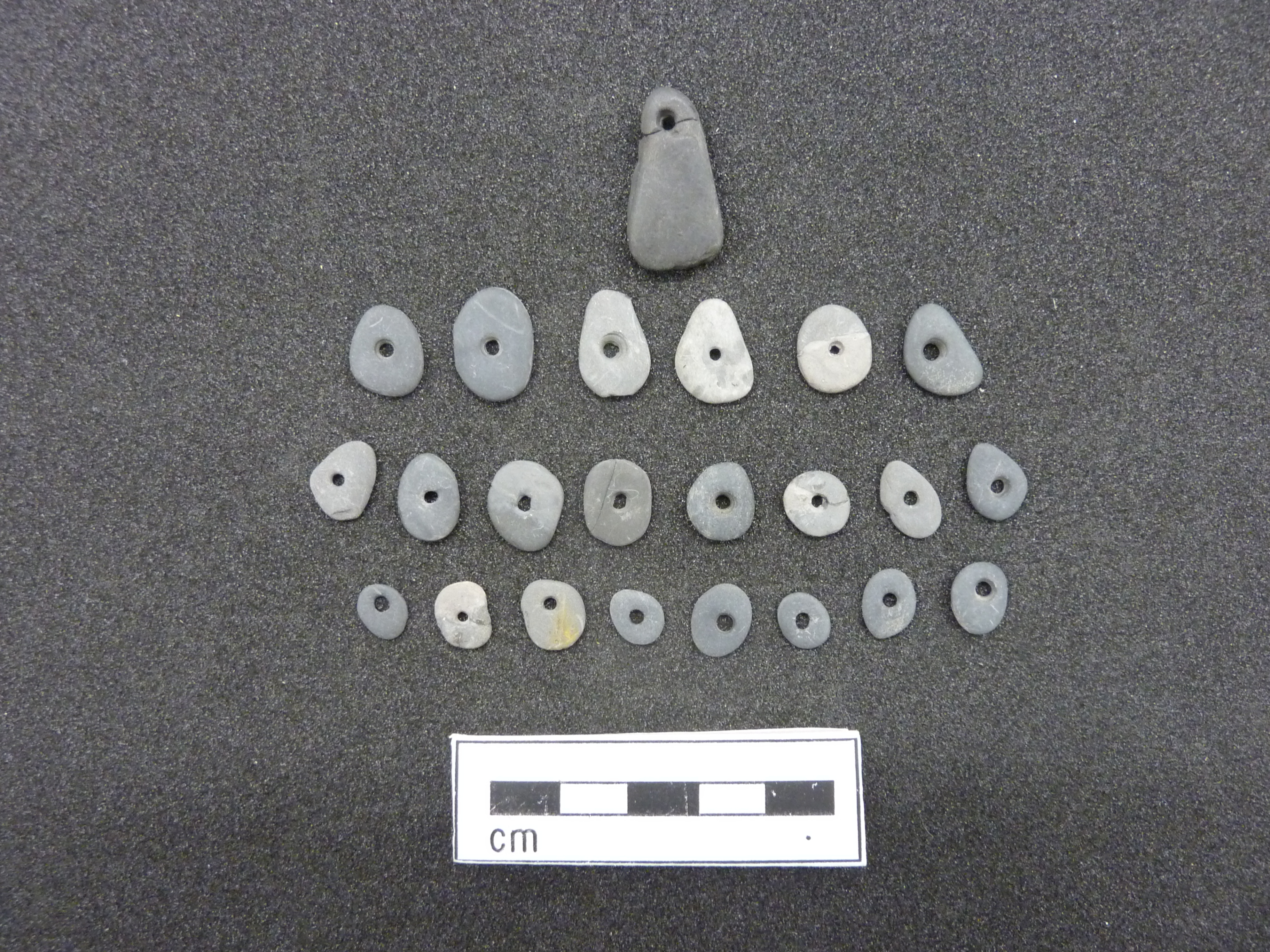 Image of the shale beads found during Clark's excavations