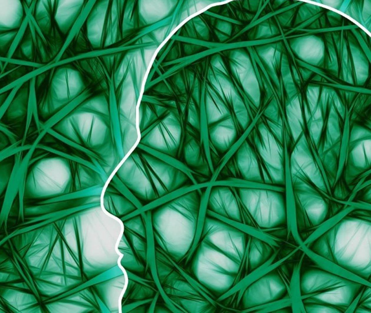 Psychology and Mental Health: Beyond Nature and Nurture