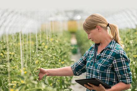 Explore How Farmers Produce Food Sustainably - cover image