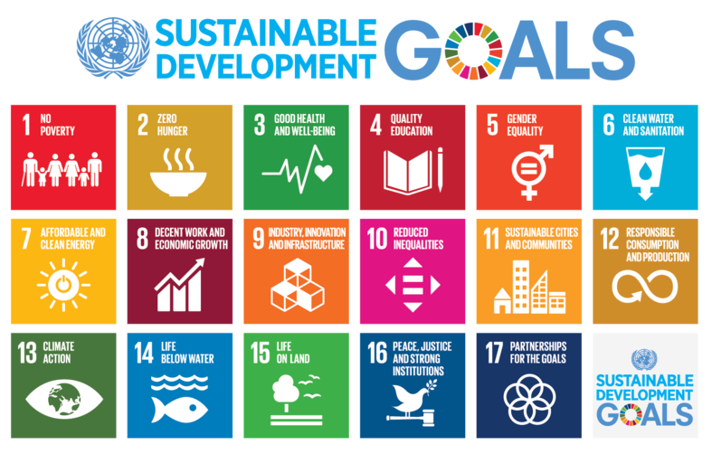 An infographic showing the 17 UN's Sustainable Development Goals