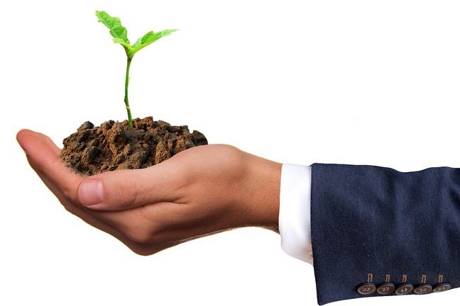 Plant growth