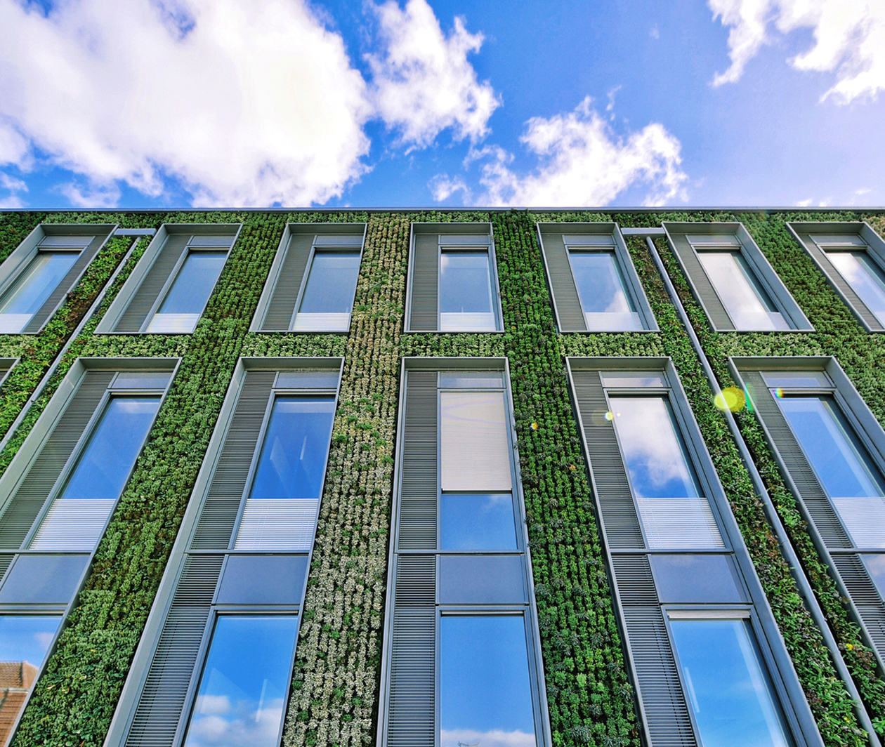 Photo showing the green wall of the University of Leicester Passivhaus Centre for Medicine