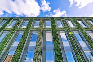 Photo showing the green wall of the University of Leicester Passivhaus Centre for Medicine