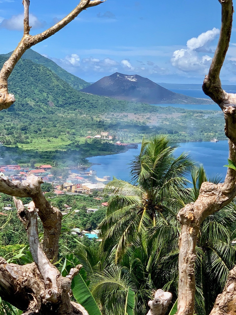 A photo of Papa New Guinea showing lush vegetation