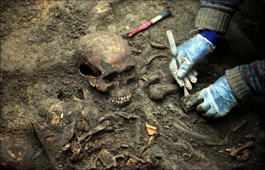 A skeleton being excavated from a mass grave. A person with gloves is lifting some of the bones with a small metal tool.