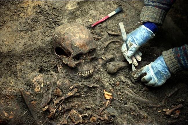 A skeleton being excavated from a mass grave. A person with gloves is lifting some of the bones with a small metal tool.