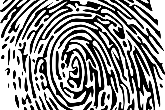 Fingerprint