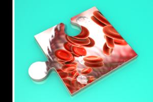 Iamge of blood cells under microscope
