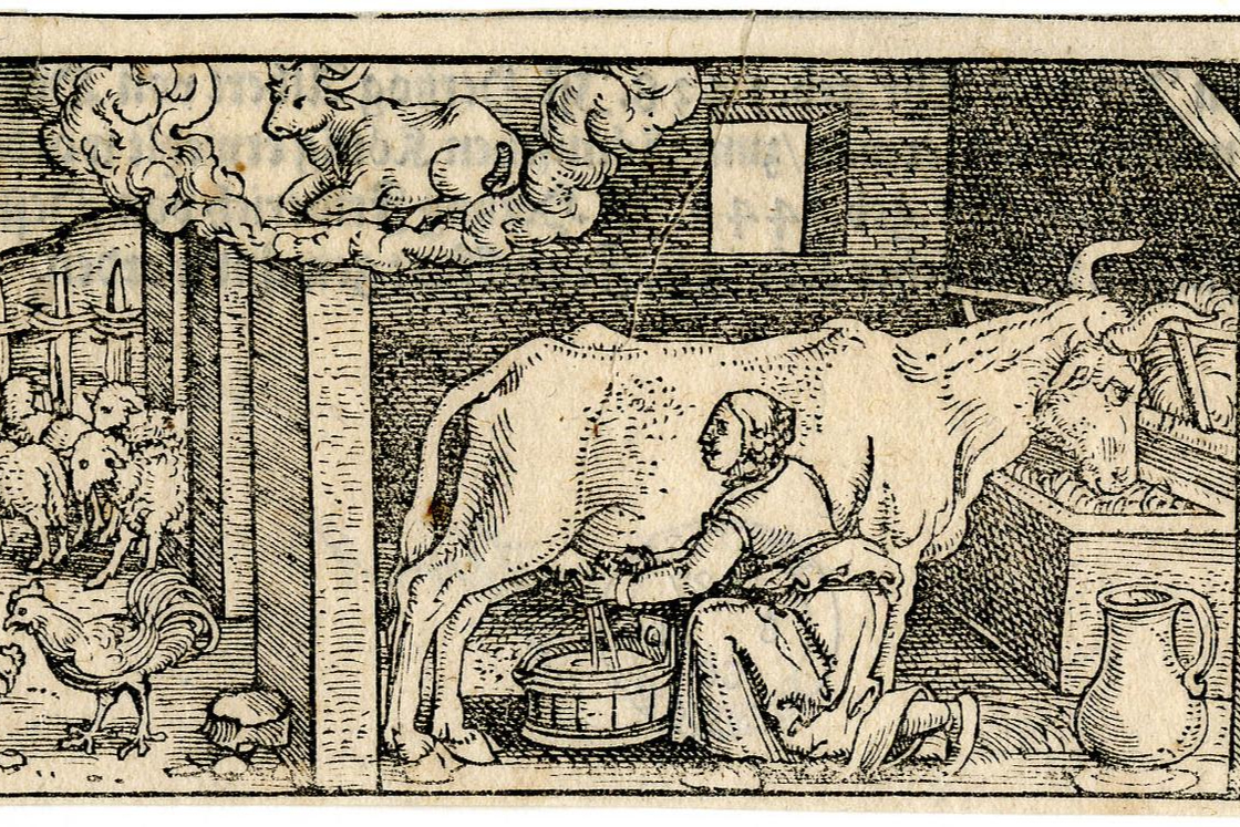 16th century woodcut of a woman milking a cow.