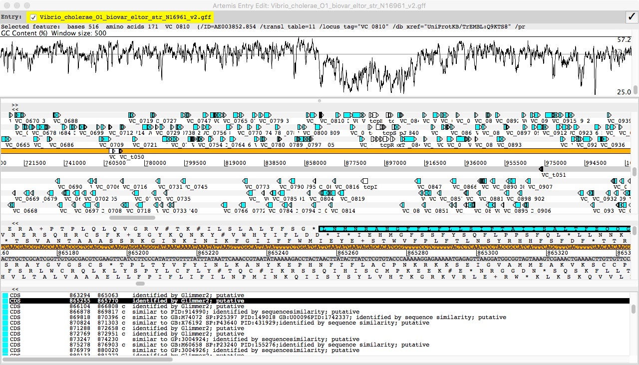 An Artemis screenshot showing colour-coded genes in a region of a genome