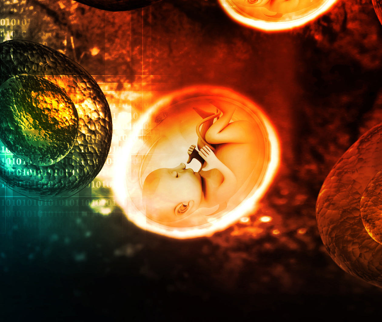 Non-Invasive Prenatal Testing (NIPT): An Introduction for Healthcare Professionals