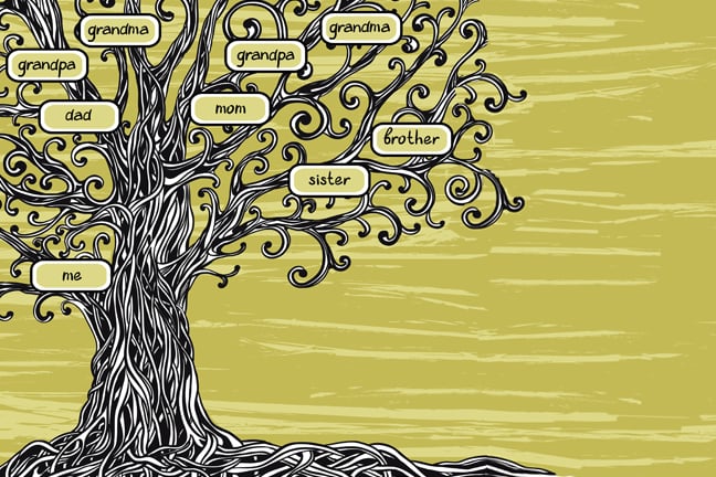 illustration of family tree