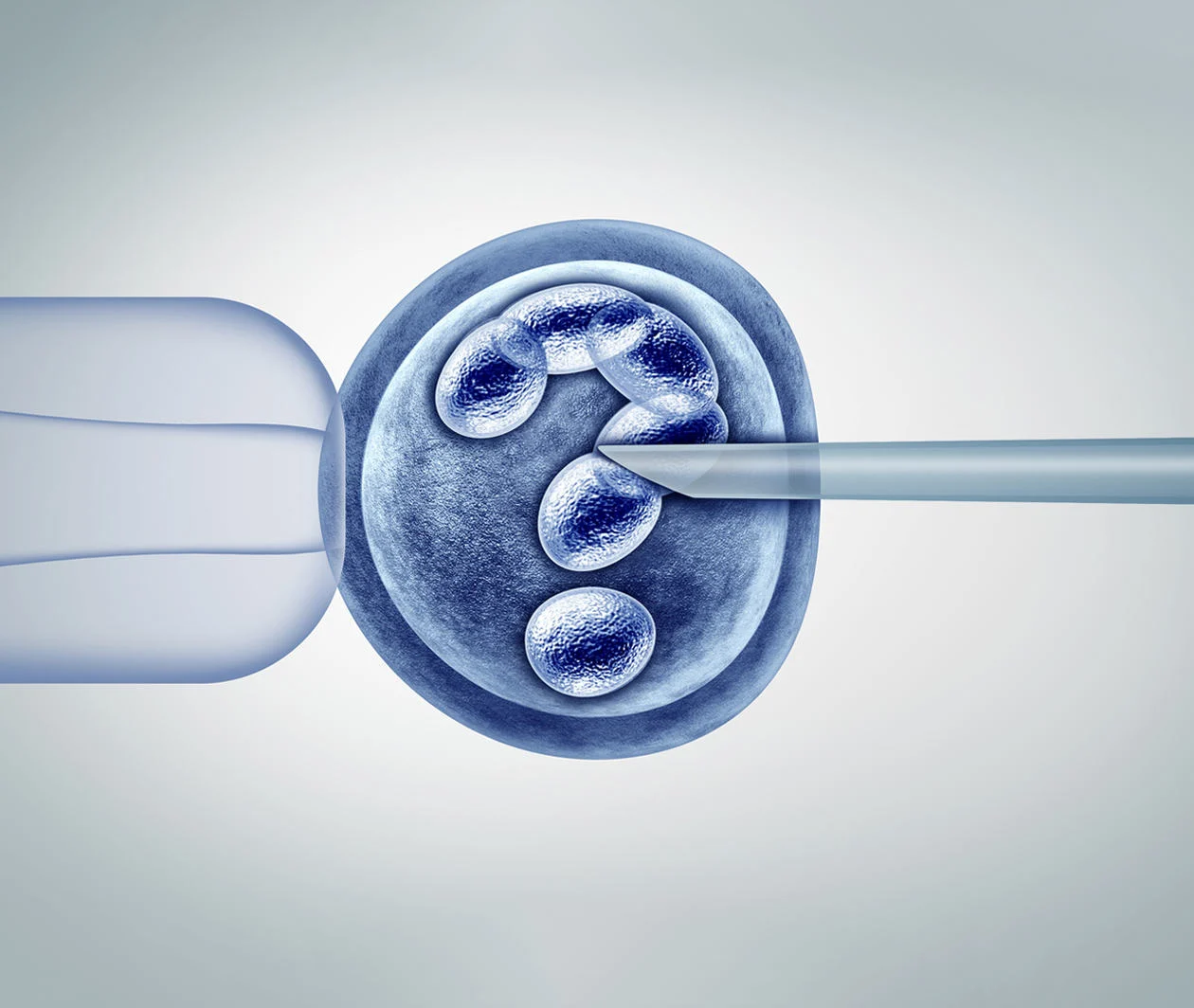 Image depicting in-vitro fertilisation, with cells forming a question mark.