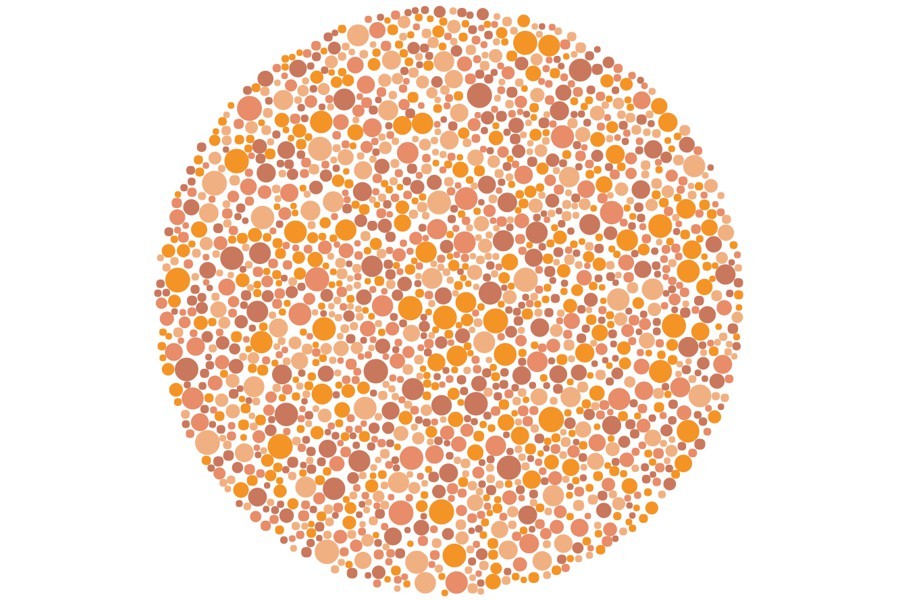 An Ishihara plate for testing colour blindness.