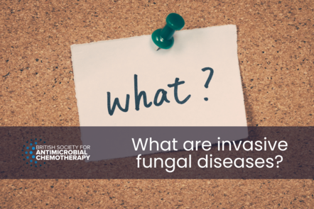 Note on a pin board with title text 'What are invasive fungal diseases'?.