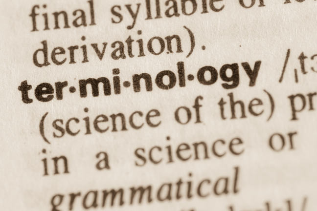 Definition of word terminology in dictionary