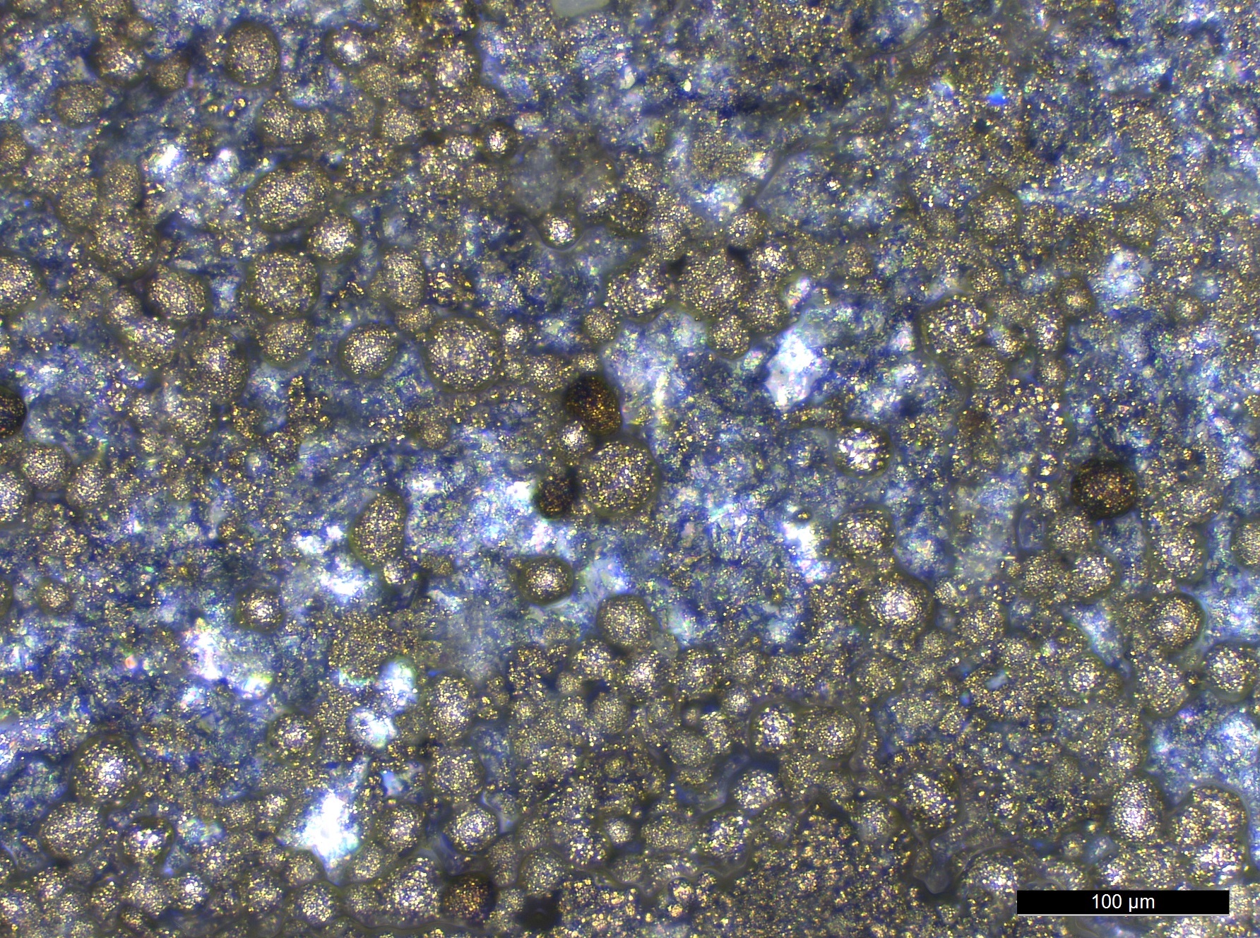 Iron pyrite seen during residue analysis under the microscope