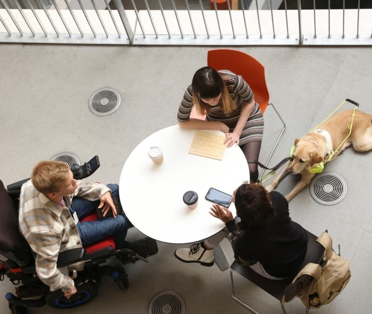 People with various disabilities sitting and talking at table during meeting