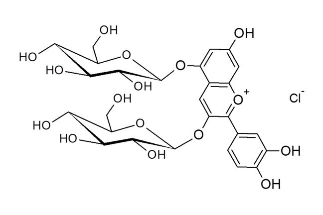 Una molécula que actúa como un indicador y es similar a los encontrados en la col roja y otras frutas rojas y bayas.
