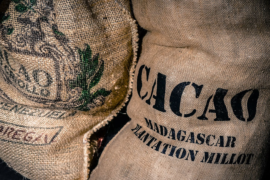 Cocoa beans in sacks