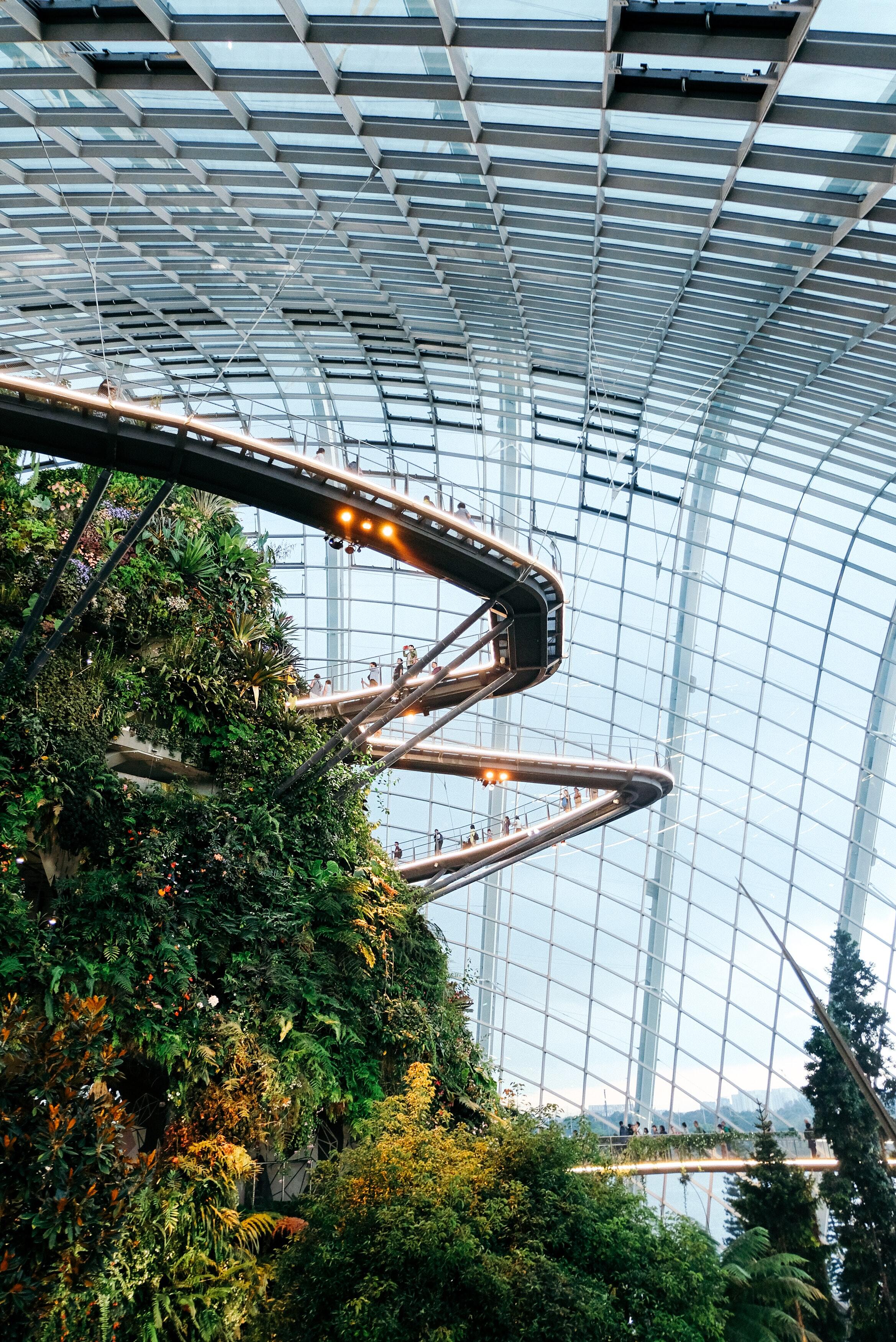 Inside a dome a walkway winds around and up, taking people through a lush garden