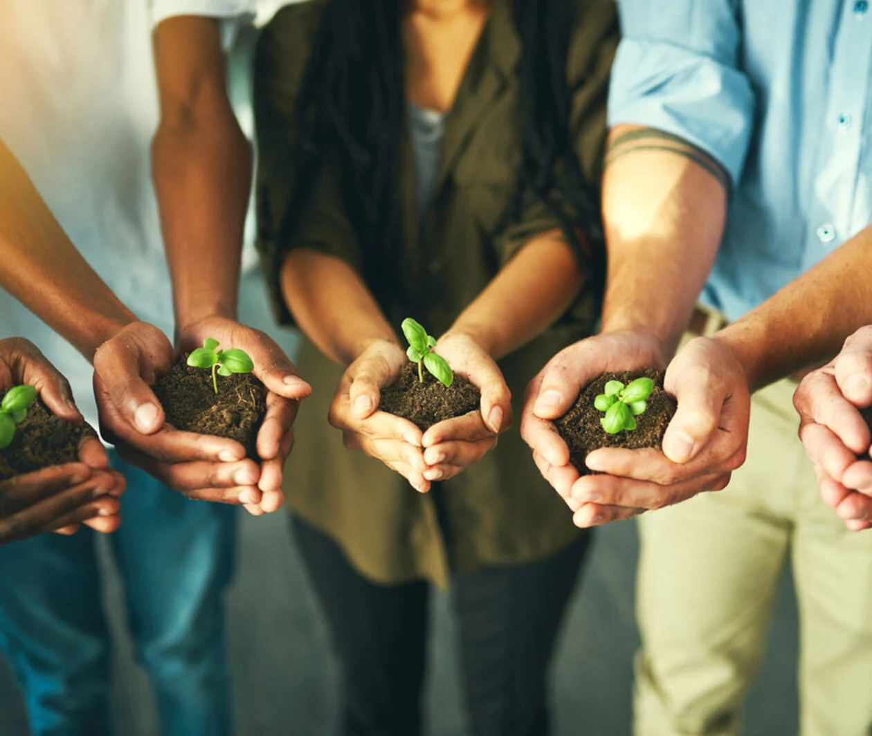 Five hands holding soil with a small seedling sprouting from each.