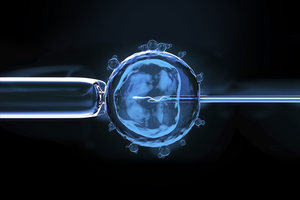 A needle artificially inseminating an egg