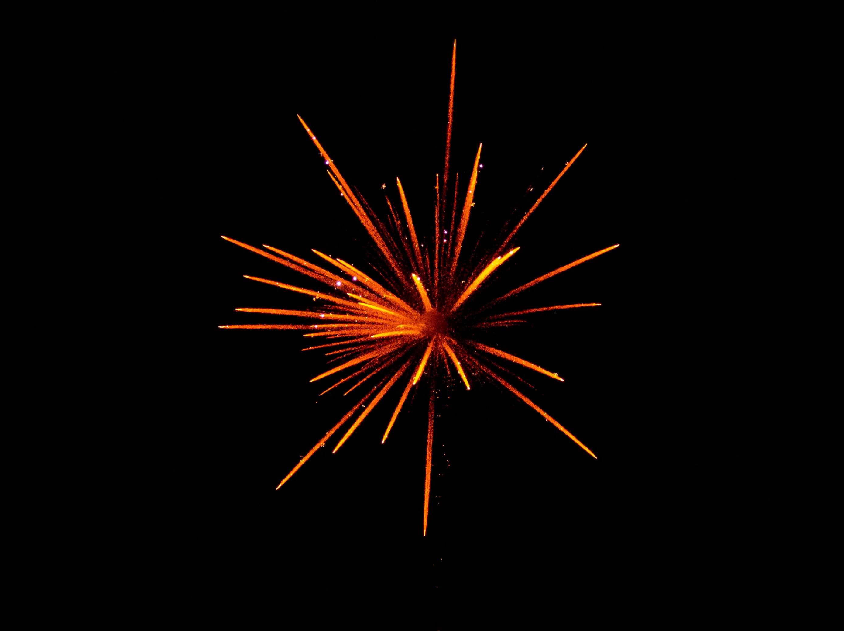 A firework in reds, yellows and oranges, set against a black sky.