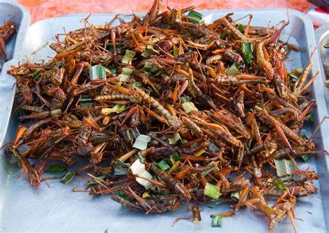 Thai grasshoppers snack food on a plate