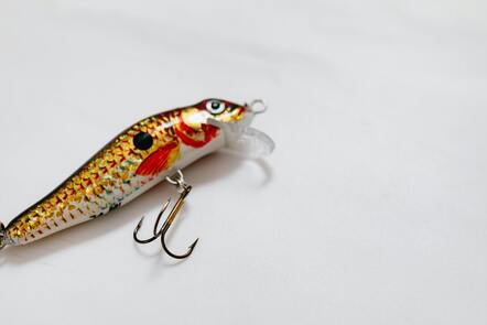 A fish-shaped bait and hook