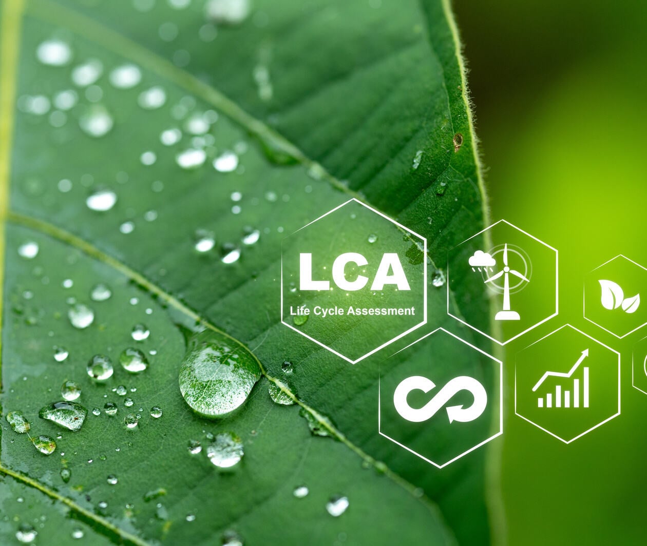 Close-up of Leaf with Water Droplets and Life Cycle Assessment Icons