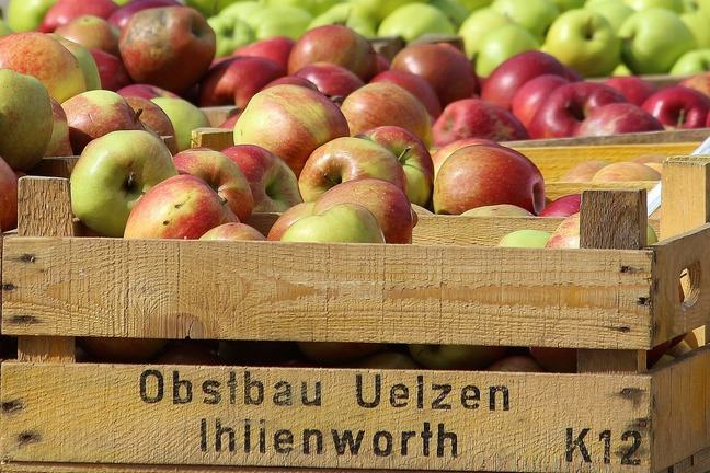 A crate of apples