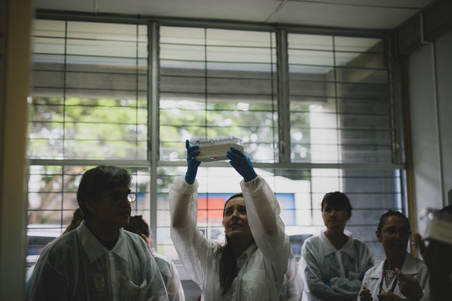 Learner holding up MiSeq Cartridge