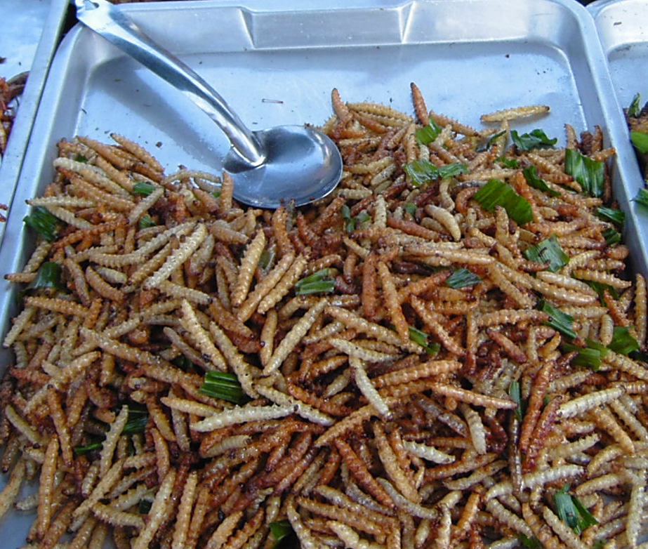 Bamboo worms on plate