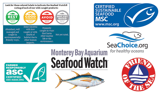 Sustainable fish deals