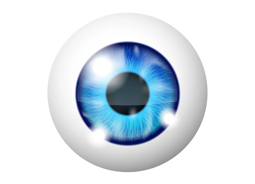 Cartoon 3D view of eye