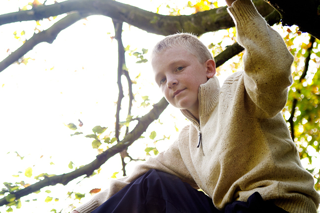 Confident boy sitting in a tree